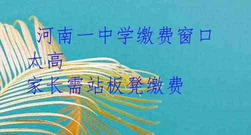  河南一中学缴费窗口太高 家长需站板凳缴费  