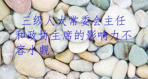 三级人大常委会主任和政协主席的影响力不容小觑