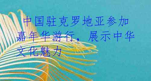 中国驻克罗地亚参加嘉年华游行,展示中华文化魅力