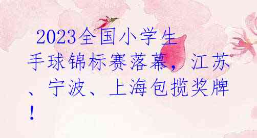  2023全国小学生手球锦标赛落幕，江苏、宁波、上海包揽奖牌！ 