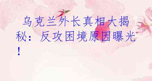 乌克兰外长真相大揭秘:反攻困境原因曝光!