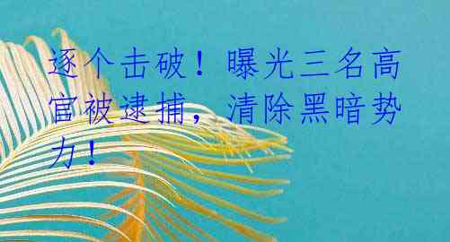 逐个击破!曝光三名高官被逮捕,清除黑暗势力!