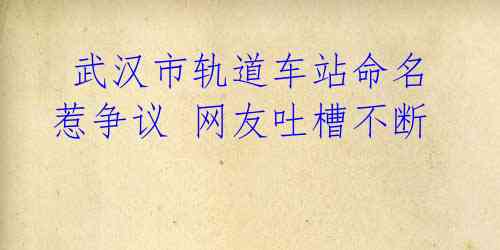 武汉市轨道车站命名惹争议 网友吐槽不断