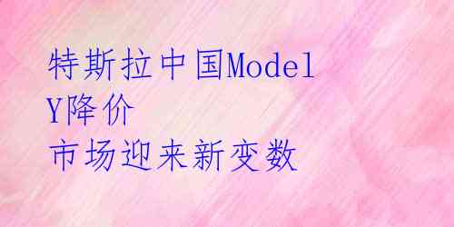  特斯拉中国Model Y降价 市场迎来新变数 