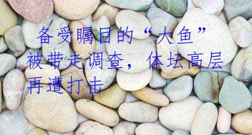 备受瞩目的“大鱼”被带走调查,体坛高层再遭打击