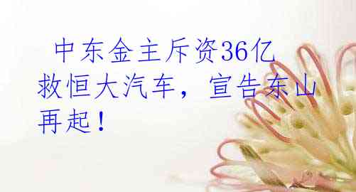 中东金主斥资36亿救恒大汽车,宣告东山再起!