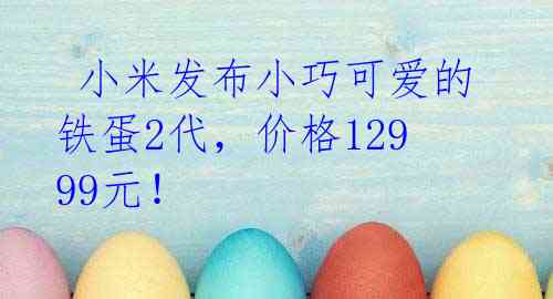 小米发布小巧可爱的铁蛋2代,价格12999元!