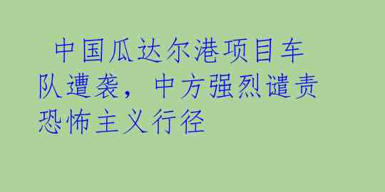  中国瓜达尔港项目车队遭袭，中方强烈谴责恐怖主义行径 