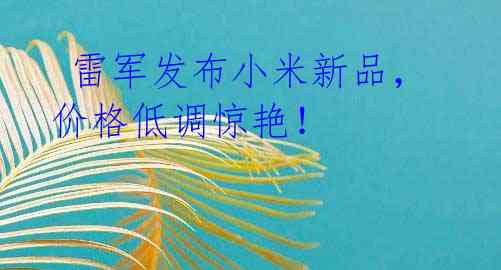 雷军发布小米新品,价格低调惊艳!