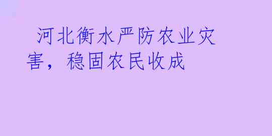  河北衡水严防农业灾害，稳固农民收成 