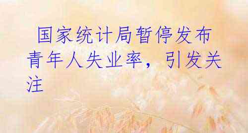 国家统计局暂停发布青年人失业率,引发关注