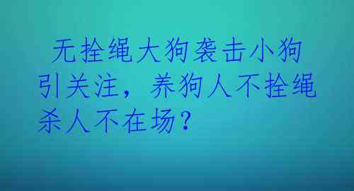 无拴绳大狗袭击小狗引关注,养狗人不拴绳杀人不在场?