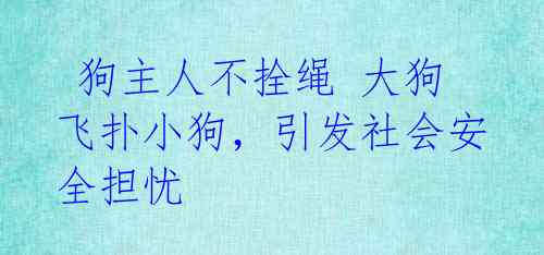 狗主人不拴绳 大狗飞扑小狗,引发社会安全担忧