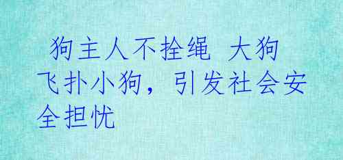  狗主人不拴绳 大狗飞扑小狗，引发社会安全担忧 