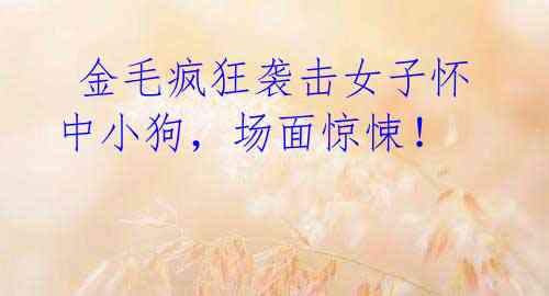 金毛疯狂袭击女子怀中小狗,场面惊悚!