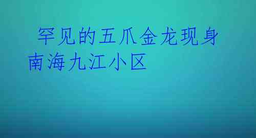 罕见的五爪金龙现身南海九江小区