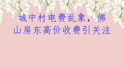 城中村电费乱象,佛山房东高价收费引关注