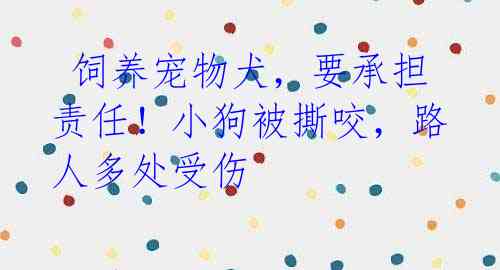 饲养宠物犬,要承担责任!小狗被撕咬,路人多处受伤