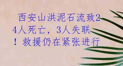  西安山洪泥石流致24人死亡, 3人失联！救援仍在紧张进行 