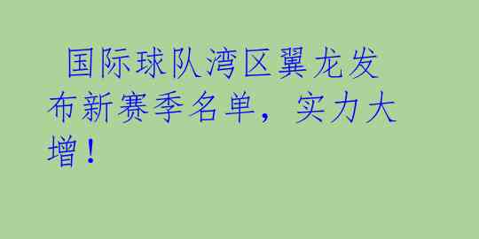  国际球队湾区翼龙发布新赛季名单，实力大增！ 