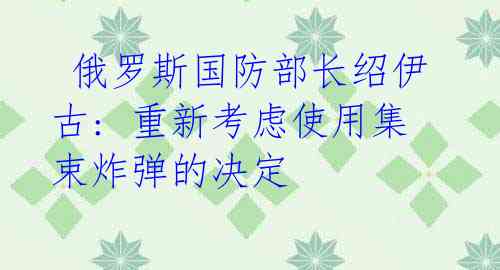 俄罗斯国防部长绍伊古: 重新考虑使用集束炸弹的决定
