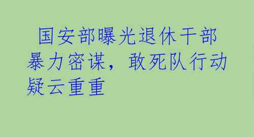  国安部曝光退休干部暴力密谋，敢死队行动疑云重重 