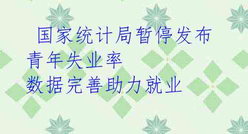 国家统计局暂停发布青年失业率 数据完善助力就业