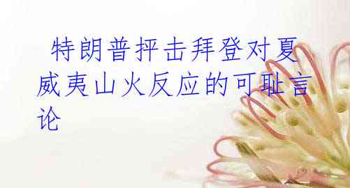特朗普抨击拜登对夏威夷山火反应的可耻言论