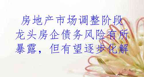 房地产市场调整阶段 龙头房企债务风险有所暴露,但有望逐步化解