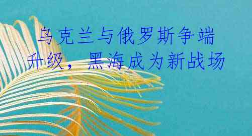乌克兰与俄罗斯争端升级,黑海成为新战场
