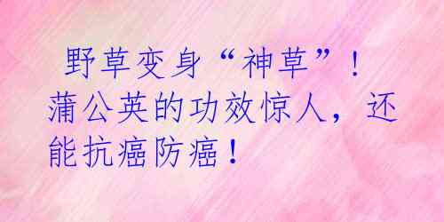  野草变身“神草”! 蒲公英的功效惊人，还能抗癌防癌！ 