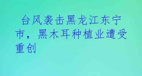 台风袭击黑龙江东宁市,黑木耳种植业遭受重创