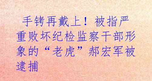 手铐再戴上!被指严重败坏纪检监察干部形象的“老虎”郝宏军被逮捕