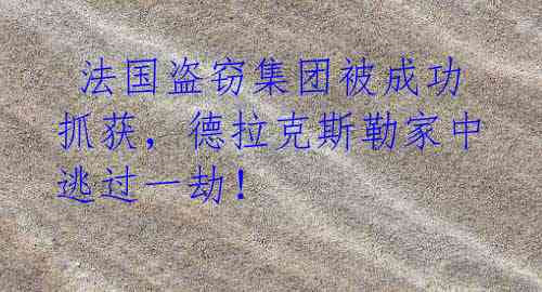 法国盗窃集团被成功抓获,德拉克斯勒家中逃过一劫!