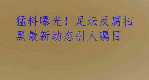 猛料曝光!足坛反腐扫黑最新动态引人瞩目