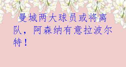 曼城两大球员或将离队,阿森纳有意拉波尔特!
