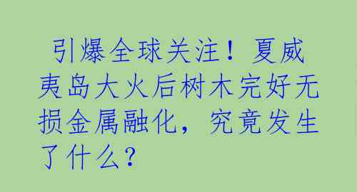 引爆全球关注!夏威夷岛大火后树木完好无损金属融化,究竟发生了什么?