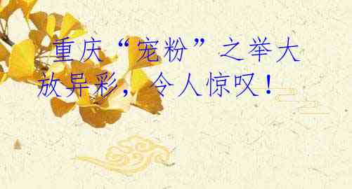 重庆“宠粉”之举大放异彩,令人惊叹!