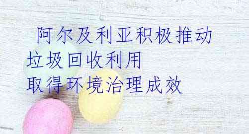 阿尔及利亚积极推动垃圾回收利用 取得环境治理成效