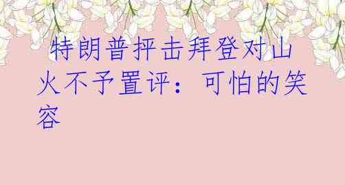 特朗普抨击拜登对山火不予置评:可怕的笑容