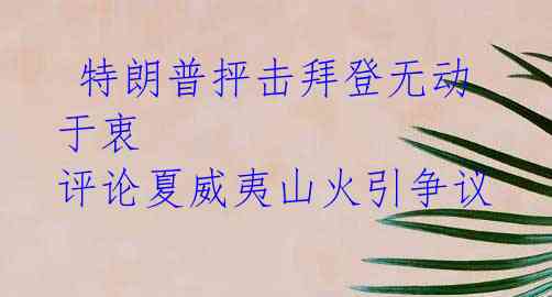 特朗普抨击拜登无动于衷 评论夏威夷山火引争议