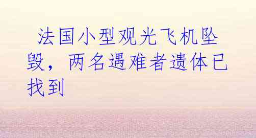 法国小型观光飞机坠毁,两名遇难者遗体已找到