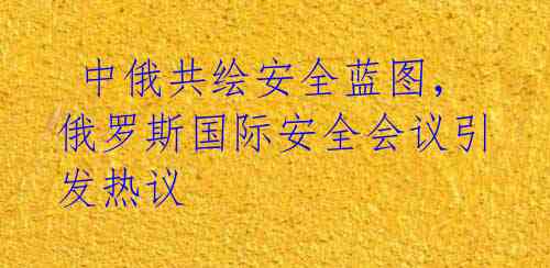  中俄共绘安全蓝图，俄罗斯国际安全会议引发热议