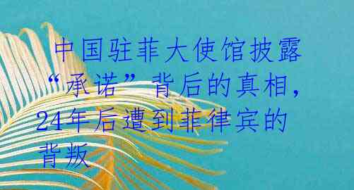  中国驻菲大使馆披露“承诺”背后的真相，24年后遭到菲律宾的背叛