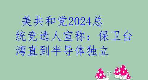  美共和党2024总统竞选人宣称：保卫台湾直到半导体独立 