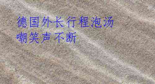 德国外长行程泡汤 嘲笑声不断