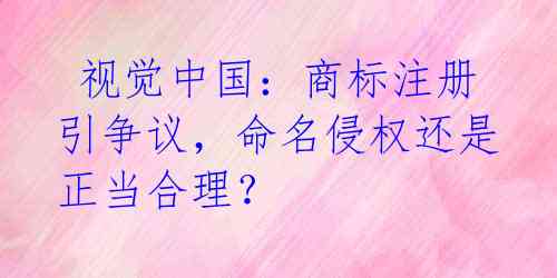视觉中国:商标注册引争议,命名侵权还是正当合理?