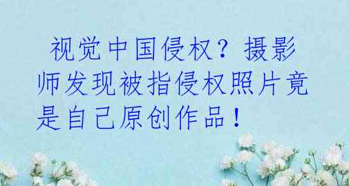 视觉中国侵权?摄影师发现被指侵权照片竟是自己原创作品!