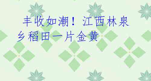  丰收如潮！江西林泉乡稻田一片金黄