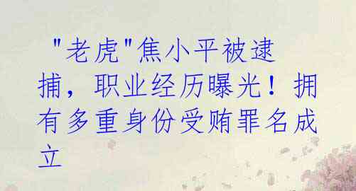  "老虎"焦小平被逮捕，职业经历曝光！拥有多重身份受贿罪名成立